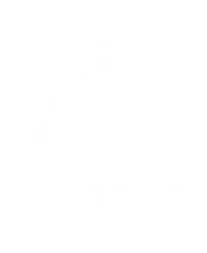 Aliferous Event Organizers